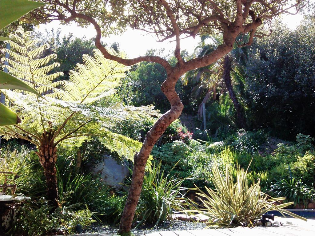 Hout Bay Hideaway Hotell Exteriör bild