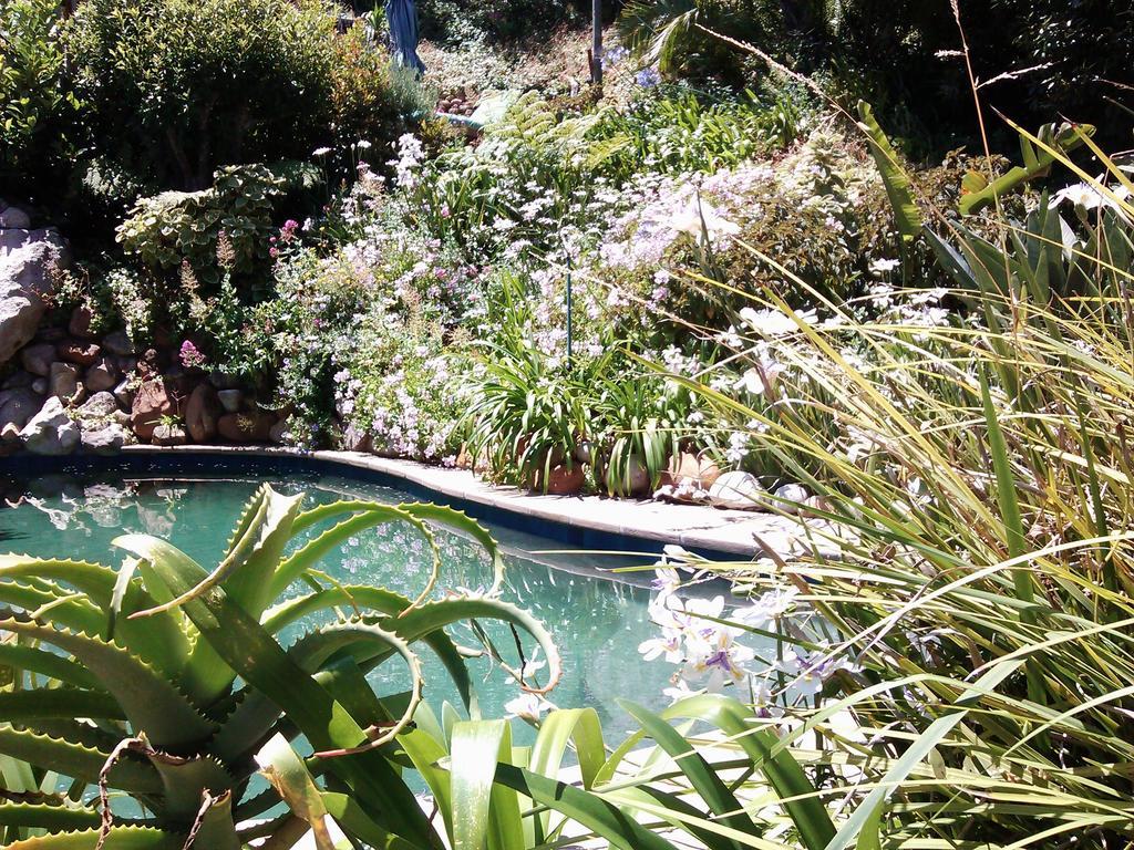 Hout Bay Hideaway Hotell Exteriör bild