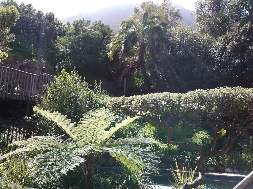 Hout Bay Hideaway Hotell Rum bild
