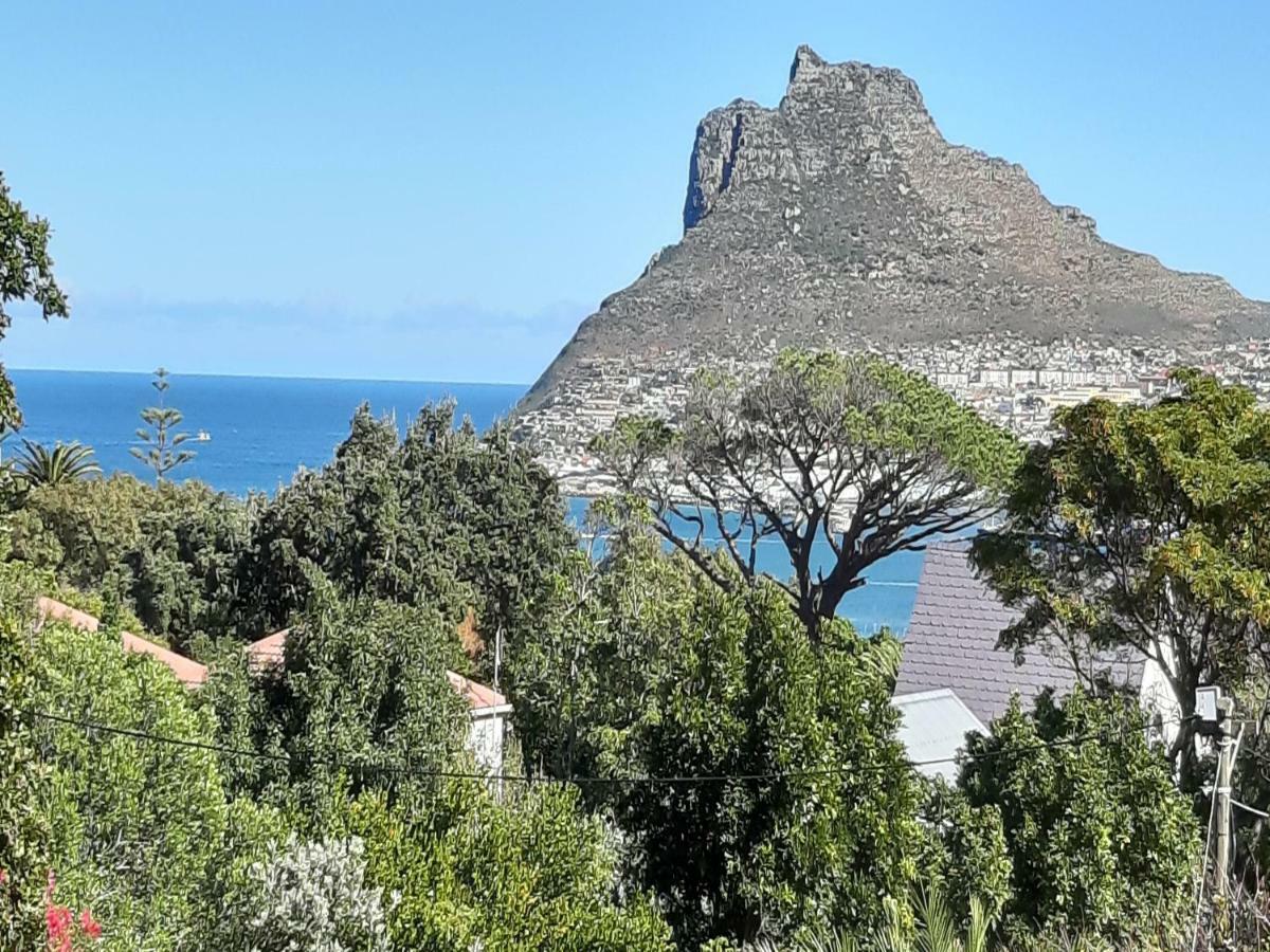 Hout Bay Hideaway Hotell Exteriör bild