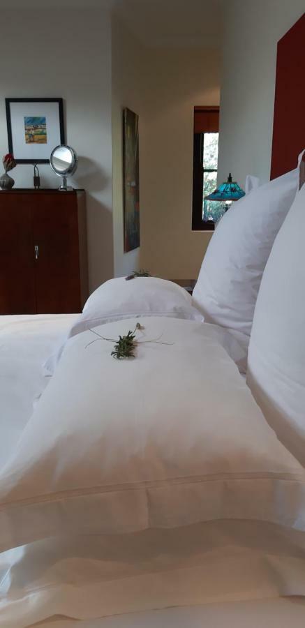 Hout Bay Hideaway Hotell Exteriör bild